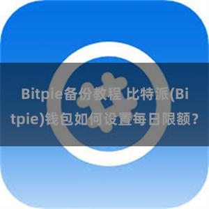 Bitpie备份教程 比特派(Bitpie)钱包如何设置每日限额？
