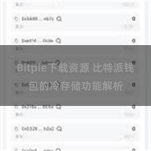Bitpie下载资源 比特派钱包的冷存储功能解析