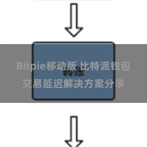 Bitpie移动版 比特派钱包交易延迟解决方案分享