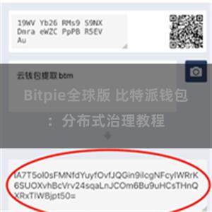Bitpie全球版 比特派钱包：分布式治理教程