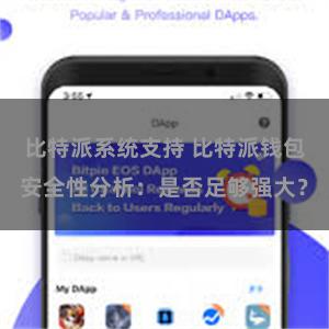 比特派系统支持 比特派钱包安全性分析：是否足够强大？