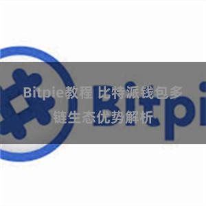 Bitpie教程 比特派钱包多链生态优势解析
