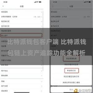 比特派钱包客户端 比特派钱包链上资产追踪功能全解析