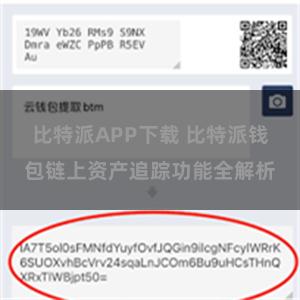 比特派APP下载 比特派钱包链上资产追踪功能全解析