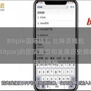 Bitpie国际钱包 比特派钱包(Bitpie)的团队背景和发展历史揭秘