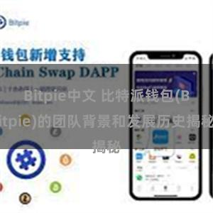 Bitpie中文 比特派钱包(Bitpie)的团队背景和发展历史揭秘