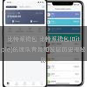 比特派钱包 比特派钱包(Bitpie)的团队背景和发展历史揭秘