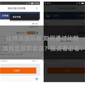 比特派国际版 如何通过比特派钱包获取收益？投资者必看！