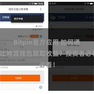 Bitpie官方应用 如何通过比特派钱包获取收益？投资者必看！