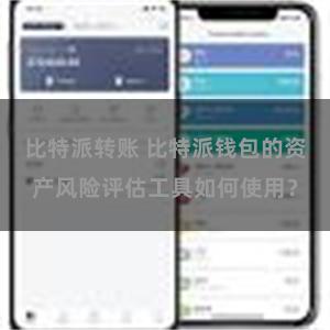 比特派转账 比特派钱包的资产风险评估工具如何使用？