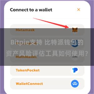 Bitpie支持 比特派钱包的资产风险评估工具如何使用？