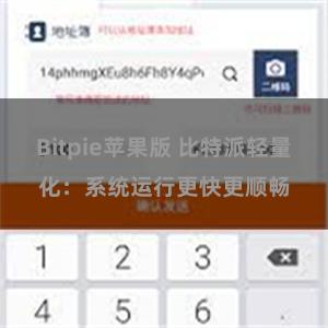 Bitpie苹果版 比特派轻量化：系统运行更快更顺畅