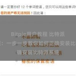 Bitpie用户教程 比特派安装教程：一步一步教你如何正确安装比特派系统