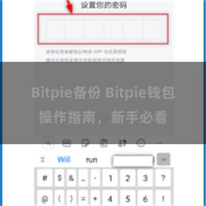 Bitpie备份 Bitpie钱包操作指南，新手必看