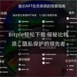 Bitpie轻松下载 探秘比特派：隐私保护的领先者