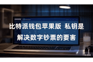 比特派钱包苹果版  私钥是解决数字钞票的要害