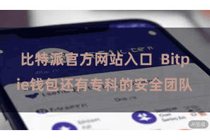 比特派官方网站入口  Bitpie钱包还有专科的安全团队