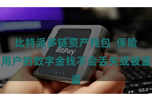 比特派多链资产钱包  保险用户的数字金钱不会丢失或被盗