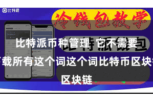 比特派币种管理  它不需要下载所有这个词这个词比特币区块链