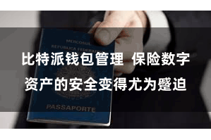 比特派钱包管理  保险数字资产的安全变得尤为蹙迫