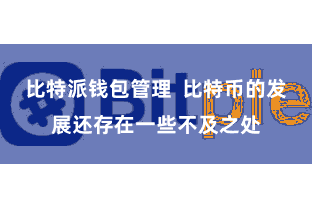 比特派钱包管理  比特币的发展还存在一些不及之处
