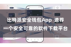 比特派安全钱包App  遴荐一个安全可靠的软件下载平台